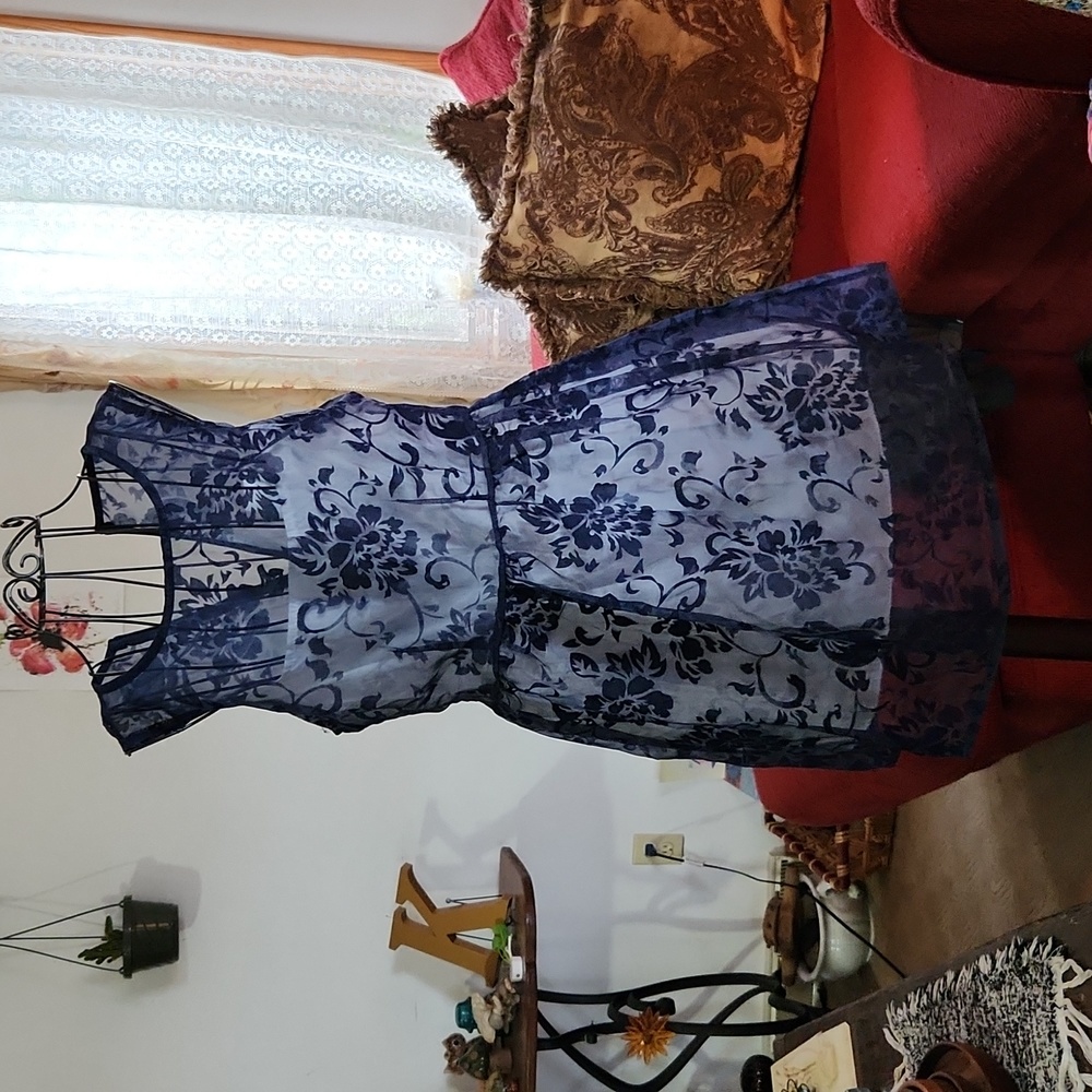 Gorgeous Delicate Dress